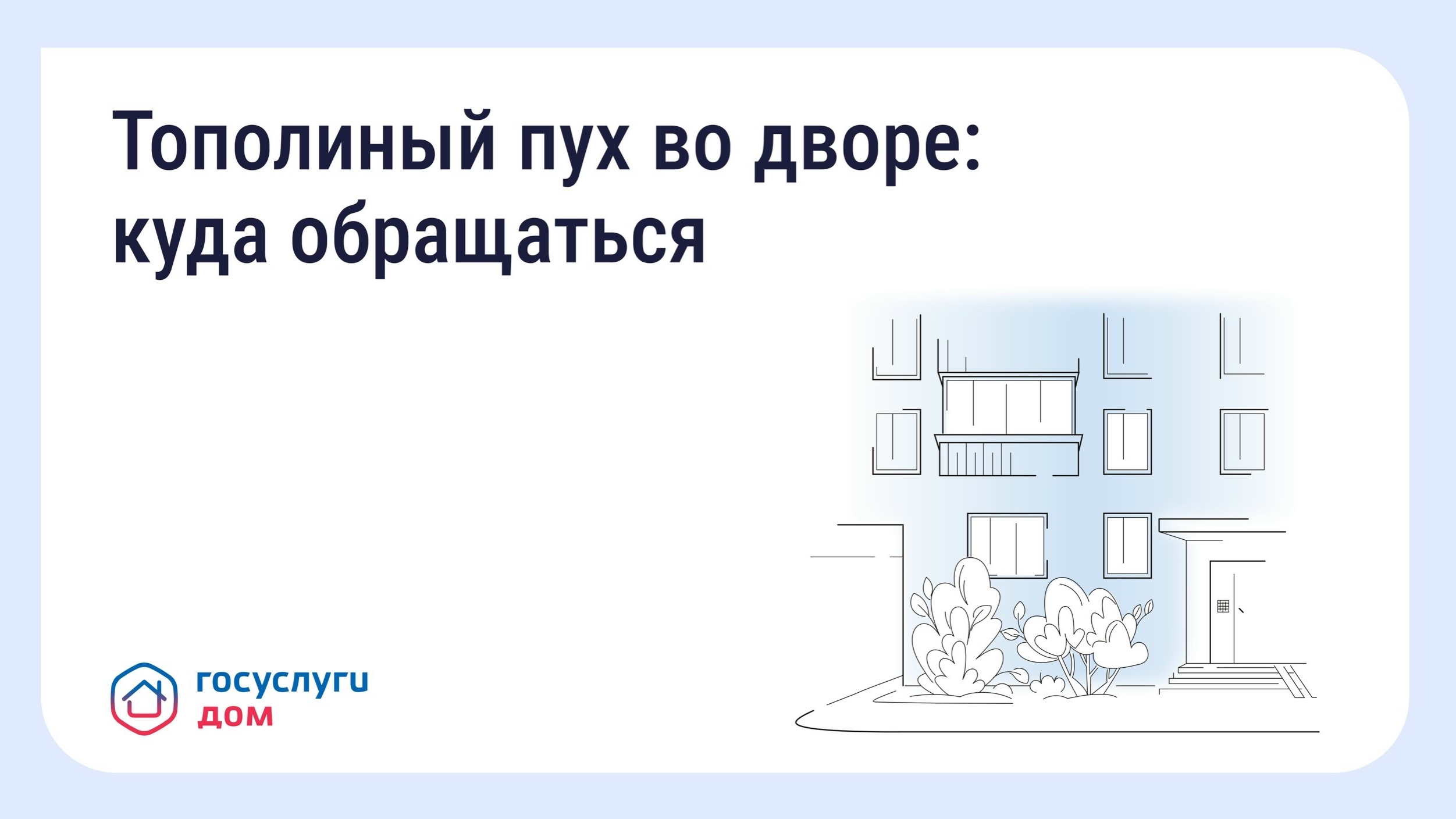 🌳 Что делать, если двор заполонил тополиный пух